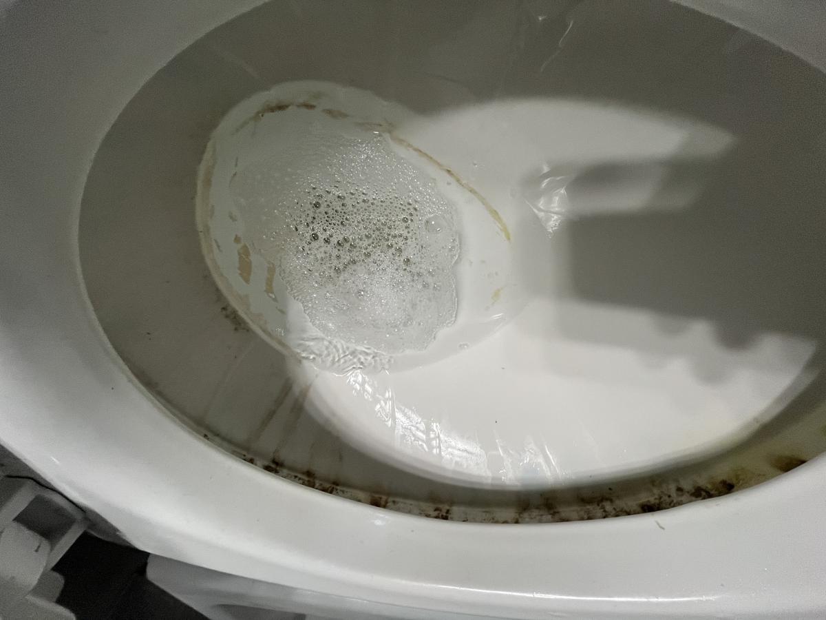 Toilet before cleaning
